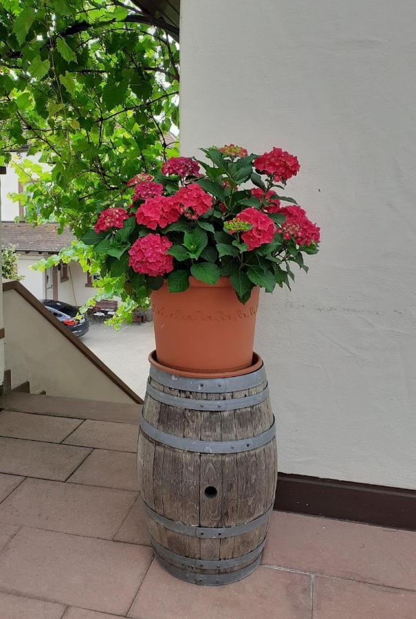 Das Landhotel Weingut Gernert Sankt Martin Exteriör bild