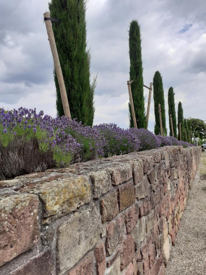 Das Landhotel Weingut Gernert Sankt Martin Exteriör bild